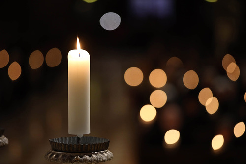 Erzdiözese Wien / Schönlaub