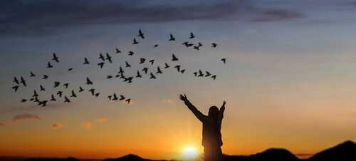 freedom in outdoor nature / Njay - stock.adobe.com girl raise hand up on sunset with birds flying in sky.